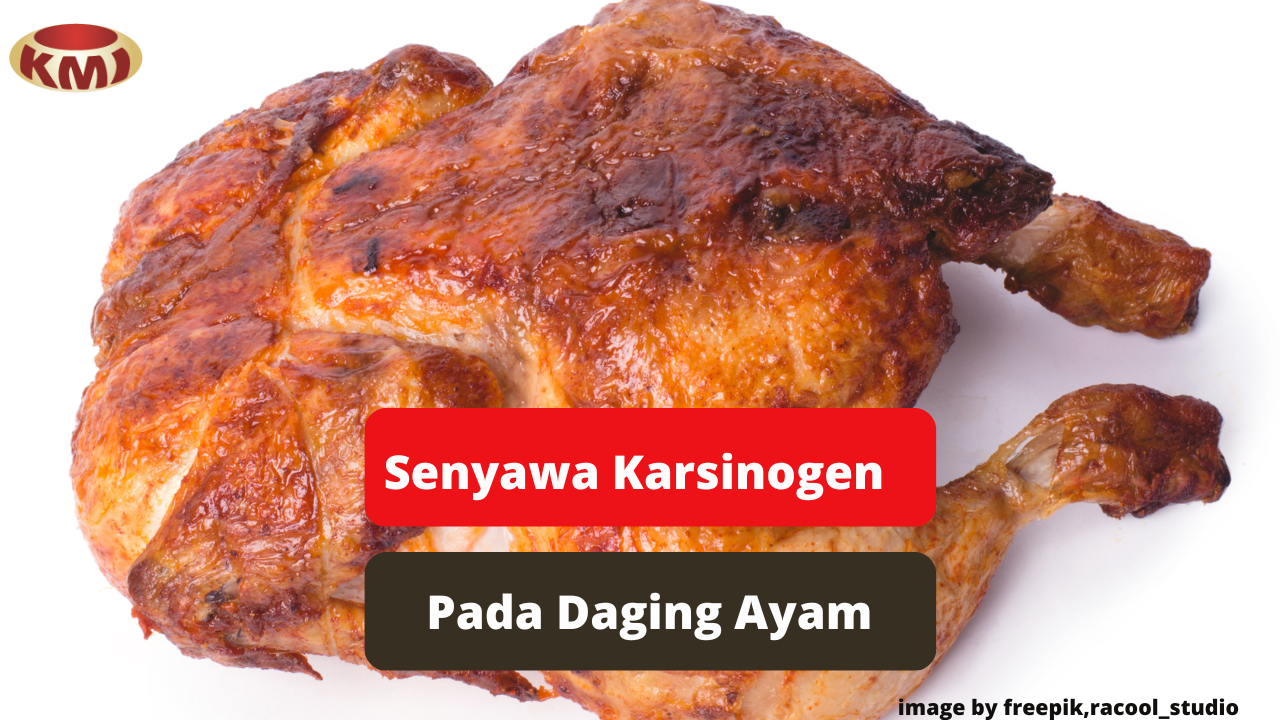 Ketahui Kandungan Zat Karsinogen Pada Daging Ayam Agar Sehat